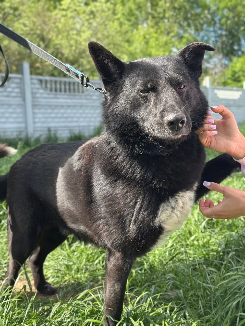 Рублик