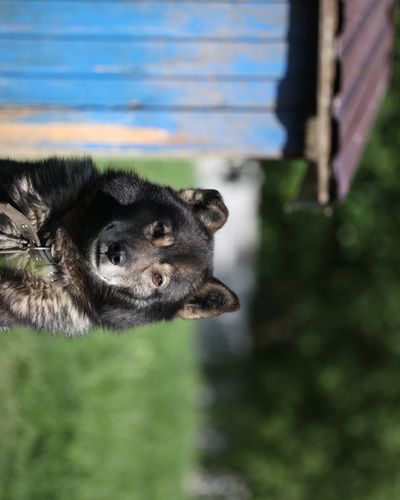 Тайфун