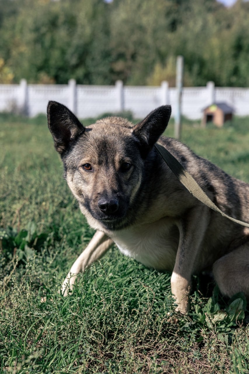 Азор